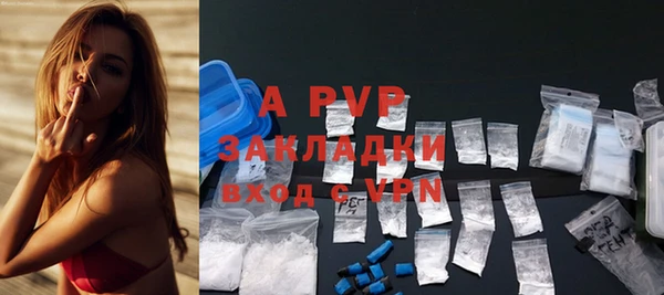 индика Балабаново