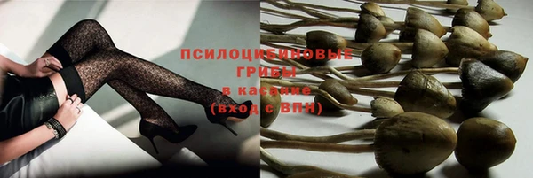 дмт Баксан
