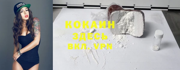 индика Балабаново