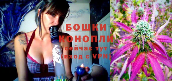 индика Балабаново